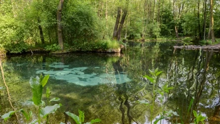 Rezerwat Niebieskie Źródła to jedno z najpiękniejszych miejsc w regionie
