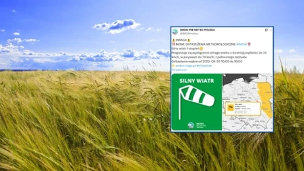 Trzeba uważać na silniejszy wiatr na wschodzie. Alert IMGW pierwszego stopnia wydano z tego powodu w czterech województwach