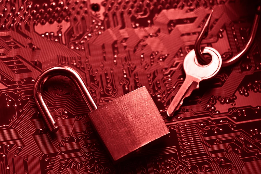 Firma Cybernews poinformowała o największym w historii wycieku danych. Są tam loginy i hasła do wielu serwisów i usług, łącznie to ok. 16 mld rekordów. Zdj. ilustracyjne..