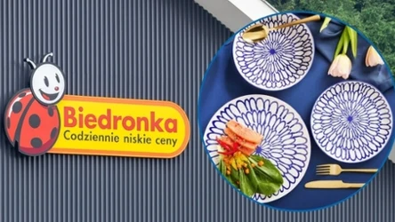 Porcelana MG Home z Biedronki podbija serca Polek. Te wzory zachwycają!