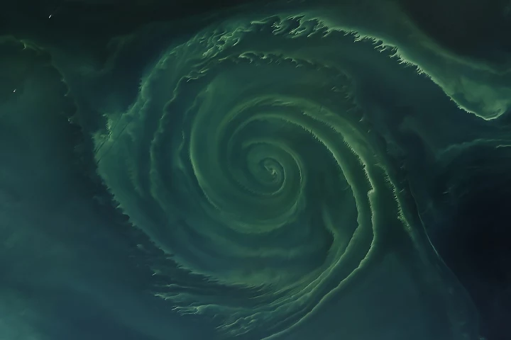 Wir składający się z sinic i okrzemków Hipnotyzujący wir wodny z widocznymi spiralnymi wzorami i różnymi odcieniami zieleni, tworzący abstrakcyjny, naturalny motyw przypominający galaktykę lub wir w oceanie.