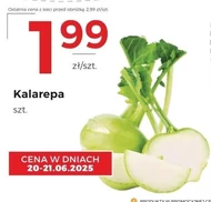 Kalarepa