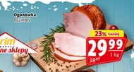 Ogonówka Pelikan