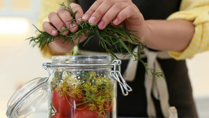 Rozmaryn to przyprawa ważna nie tylko w kuchni. Ma właściwości niezwykle istotne dla zdrowia