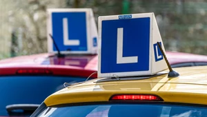 Prawo jazdy w Polsce dla obcokrajowców. Tylko ta grupa może liczyć na pomoc