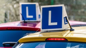 Od 1 lipca zaostrzenie zasad egzaminu na prawo jazdy. Jedno najechanie i koniec