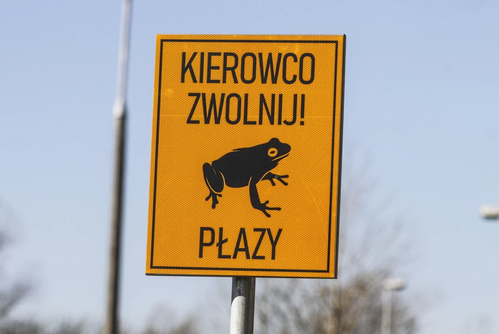Żółty znak drogowy z czarną sylwetką żaby i napisem 'Kierowco zwolnij! Płazy', zamocowany na metalowym słupku na tle rozmytego krajobrazu i nieba.