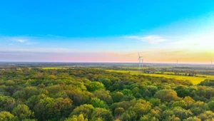 W obfitości grzybów wygrywają w przedbiegach. Oto raj dla grzybiarzy