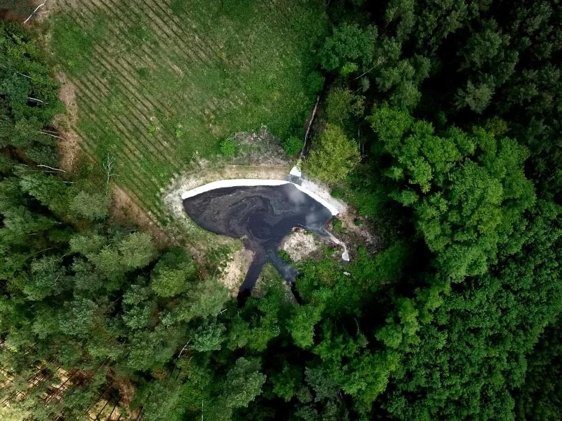 Dzięki realizacji wyjątkowego projektu, do lasów powróciły bagna i rozlewiska Betonowa tama zatrzymująca zanieczyszczenia na strumieniu otoczonym gęstym lasem i fragmentami częściowo wykarczowanej ziemi, widok z lotu ptaka, wyraźny kontrast pomiędzy naturalną zielenią drzew a ciemną wodą przy tamie.