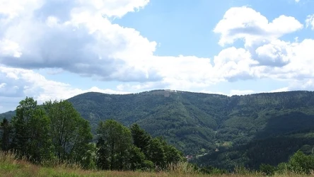 Czupel to najwyższy szczyt Beskidu Małego