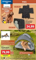 Красива жіноча мода в Lidl 