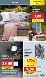 Piękna moda damska w Lidlu 