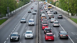 Polscy kierowcy stracą ważny przywilej? Zostało pół roku 