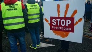 Polska stawia weto ws. Mercosur. Kosiniak-Kamysz: Walczymy o mniejszość blokującą (zdj. ilustracyjne)