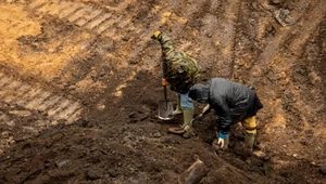 Ziemia nagle się otworzyła. Archeolodzy odkryli coś w zapadlisku