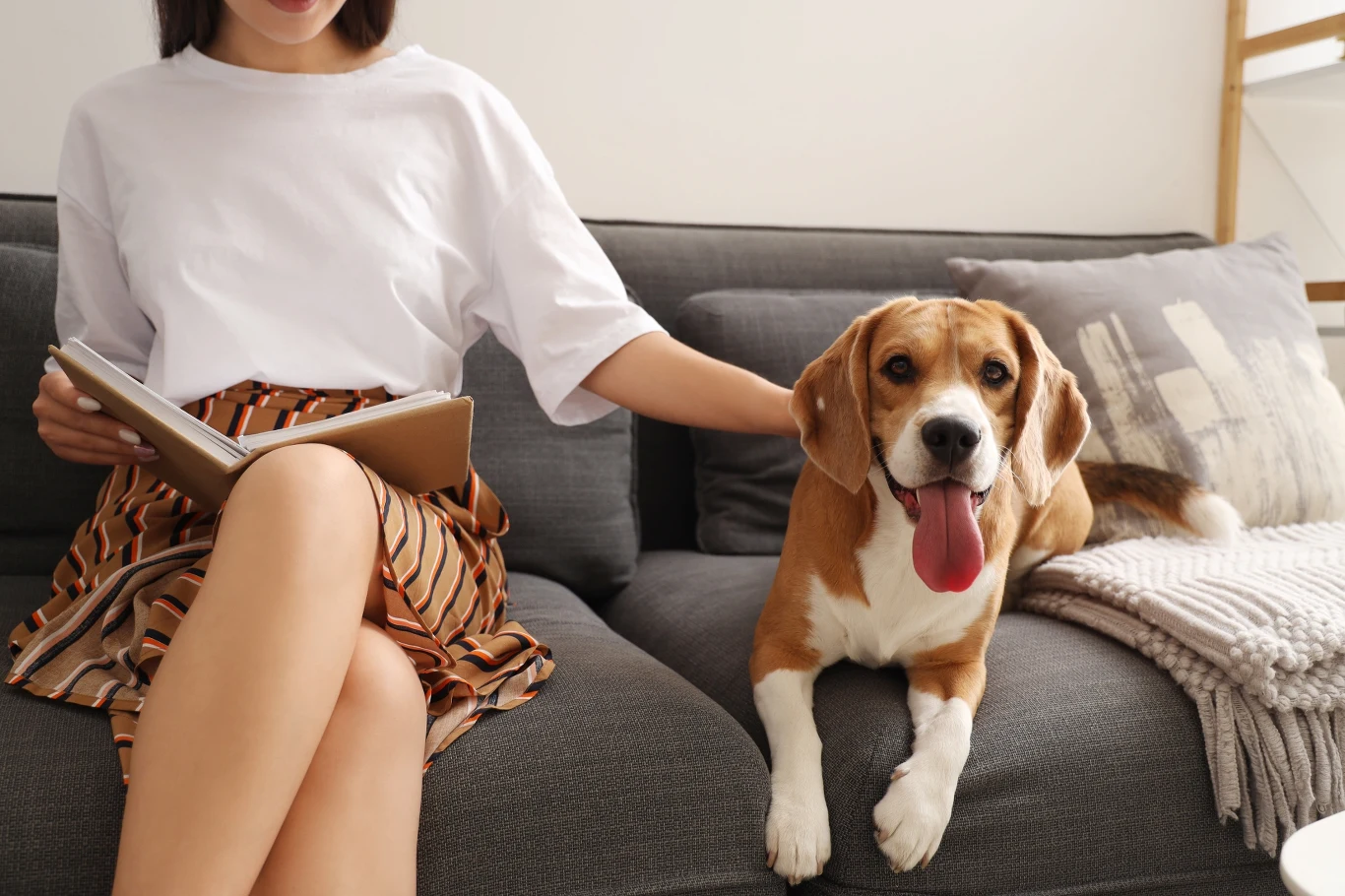 Kobieta siedzi na kanapie z książką w ręku, obok niej leży pies rasy beagle z wysuniętym językiem; wnętrze urządzone w jasnych odcieniach, ozdobne poduszki na sofie.