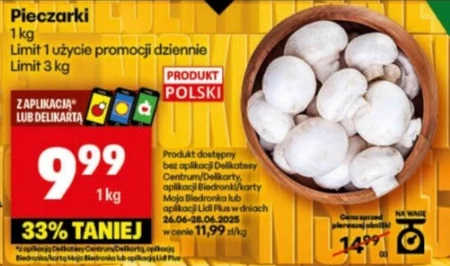 Гриби Limit
