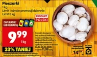 Гриби Limit