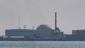 Iran chce zawieszenia współpracy z MAEA. "Nieprofesjonalne działanie"