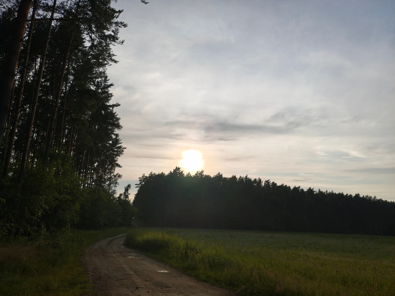 Polna droga biegnąca wzdłuż skraju lasu, otoczona zieloną trawą i wysokimi drzewami po lewej stronie, na horyzoncie jasne słońce częściowo ukryte za ciemną linią lasu, niebo pokryte lekkimi chmurami.