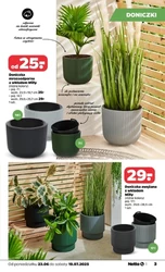 Rodzinny zakątek zieleni w Netto! 