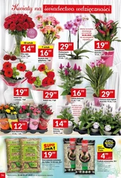 W Twój Market promocje! 