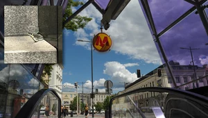 Nietypowy gość odwiedził metro w Warszawie. To pożyteczny i niegroźny wąż