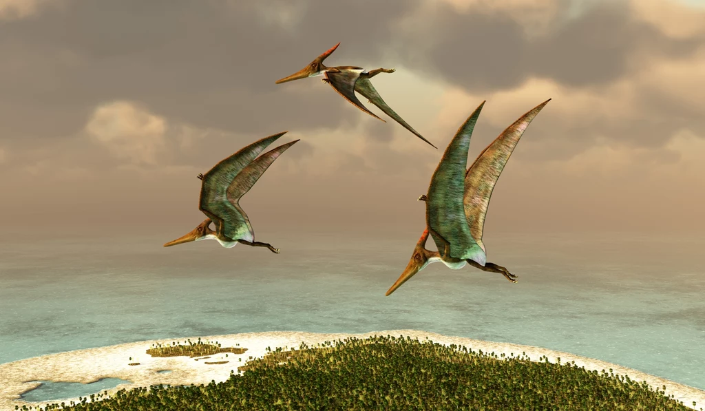 Pteranodony w locie. Wszystkie pterozaury królowały w powietrzu w mezozoiku Trzy pterozaury szybujące nad morzem w pobliżu piaszczystej wyspy porośniętej roślinnością, w tle niebo z chmurami.