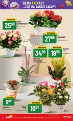 Свіжість на POLOmarket