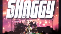 Shaggy na koncercie w Krakowie