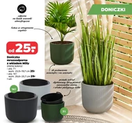 Doniczka
