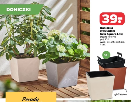 Doniczka