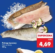 Pstrąg tęczowy