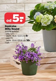 Doniczka Milly