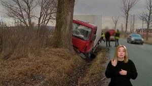 "Stop drogówka": Kierowca Iveco stracił panowanie nad pojazdem i uderzył w drzewo