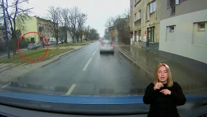 "Stop drogówka": Kierowca omijał korek jadąc po... drodze rowerowej