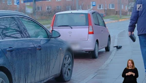 Wjechała w drugie auto, ale to nie jej wina, bo jechało za szybko?
