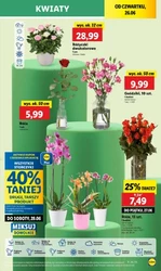 У Lidl можна купити за півціни