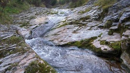 Biała Woda (Pieniny)