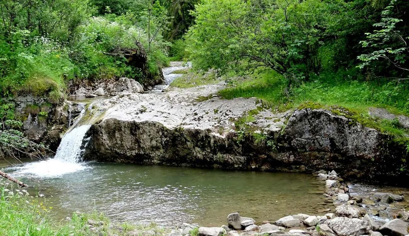 Rezerwat Biała Woda