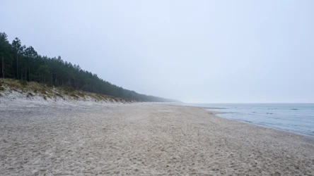 Dzika plaża w Grzybowie