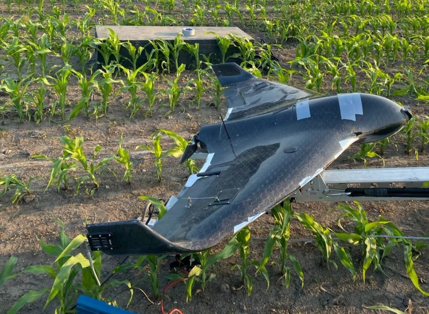 Ukraiński dron za 5 tys. dolarów poluje na Shahedy. Jest szybki i tani Czarny dron o konstrukcji typu skrzydło leży na ziemi pośród rosnącej kukurydzy, nieopodal znajduje się metalowa skrzynia.