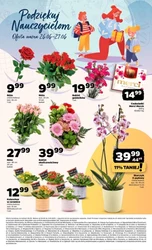 Нові акції в Netto