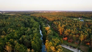 Województwo lubuskie w połowie pokryte jest lasami. To sprawia, że jest idealnym miejscem na "kąpiele leśne" i nie tylko