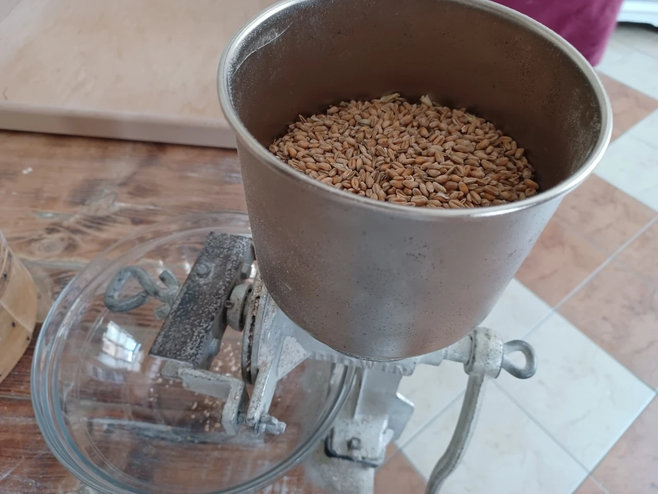 Podczas warsztatów mieliśmy okazję zobaczyć, jak kiedyś mielono ziarno pszenicy na "śrutę"