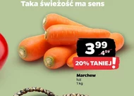 Marchew MA
