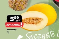 Melon