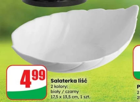 Salaterka