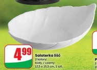 Salaterka