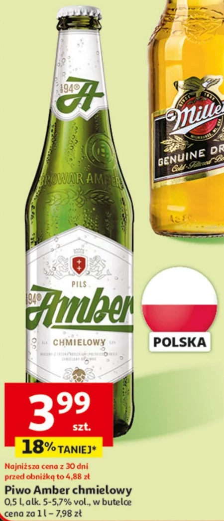 Пиво Browar Amber
